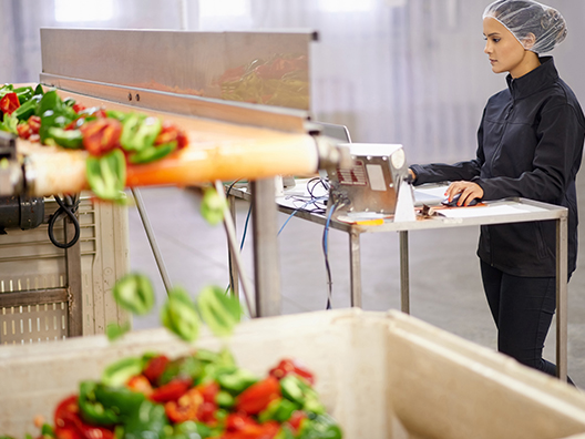 A woman monitoring and checking food supply in a warehouse