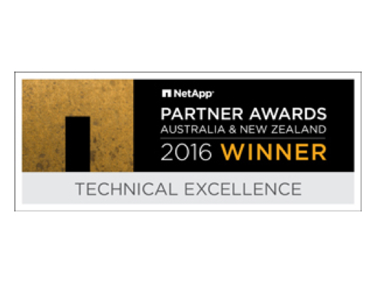 Netapp partner award logo